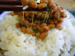 Comida Exótica en Japón: Algo más que solo arroz.