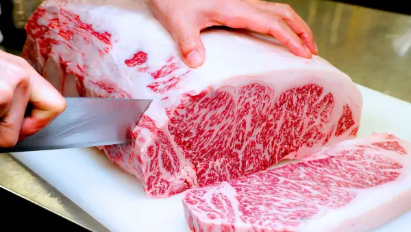 constructor expandir italiano La mejor carne, la carne de wagyu japonesa